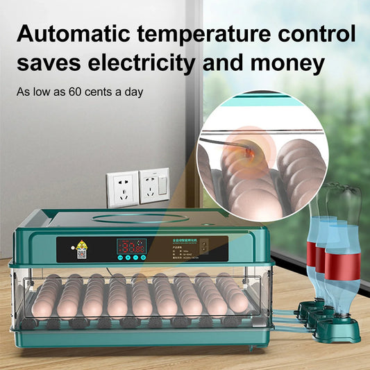 Small Chicken Incubator, Fully Automatic Smart Home Incubator, Chicken Breeding Incubator with Drawer Style Mini Egg Incubator