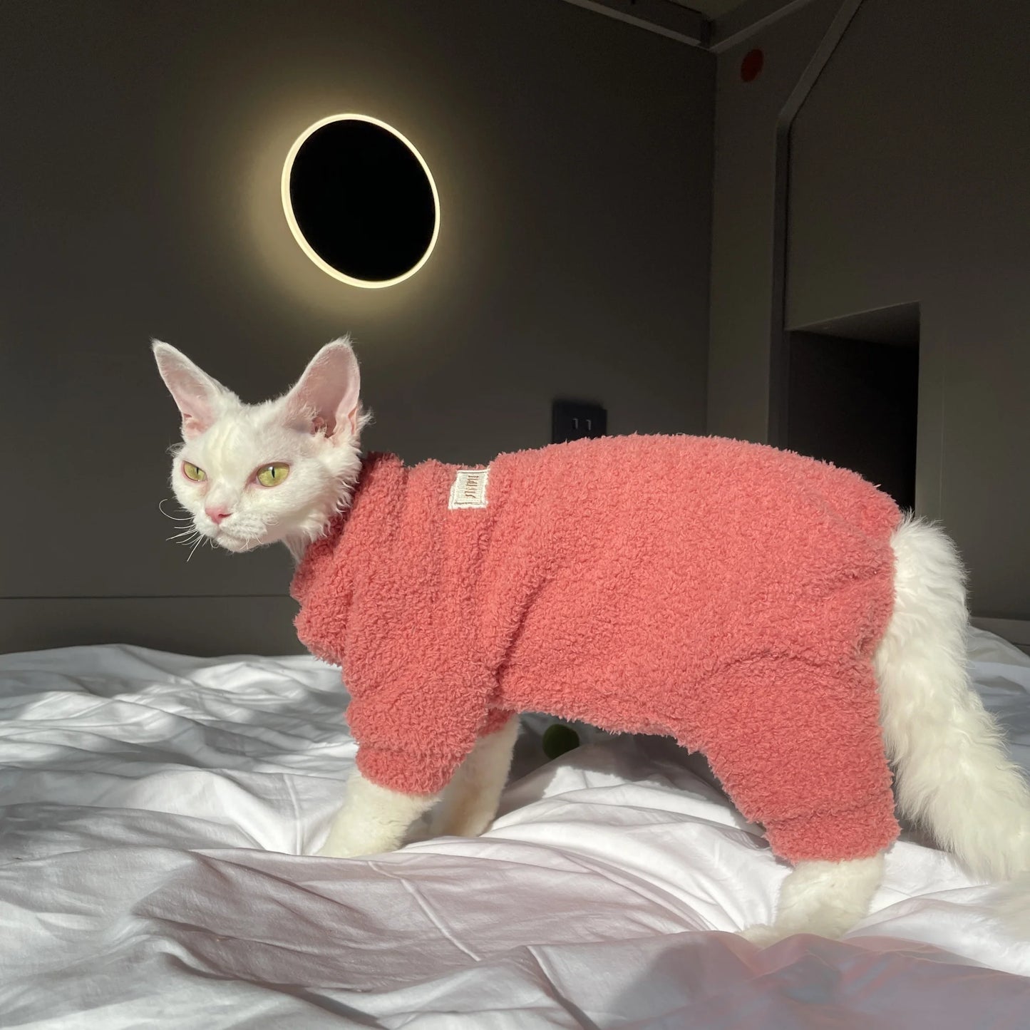 Winter Warm Plush 4-legged Sweatshirt Hat Suit for Devon Rex in Winter Soft Yellow Red Sweater for Sphynx Cat Kittens Khaki Coat