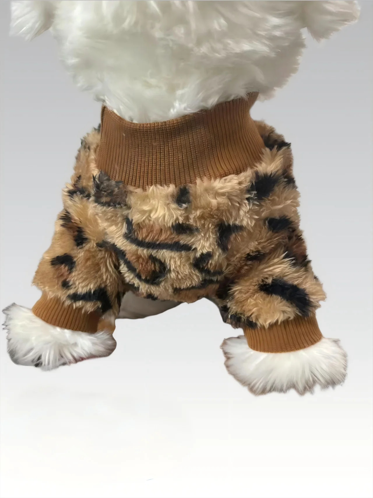 New pet leopard print pattern two-legged clothes cat dog autumn and winter Schnauzer puppy teddy small dog  panda clothes sphinx cat