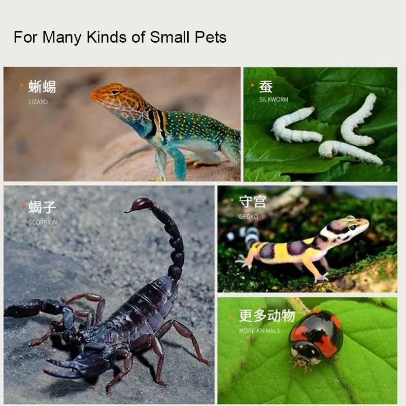 Transparent Reptile Pet Breeding Box Crawling Pet Feeding Box Lizard Silkworm Scorpion Beetle Insect Box Pet House Acrylic Cage