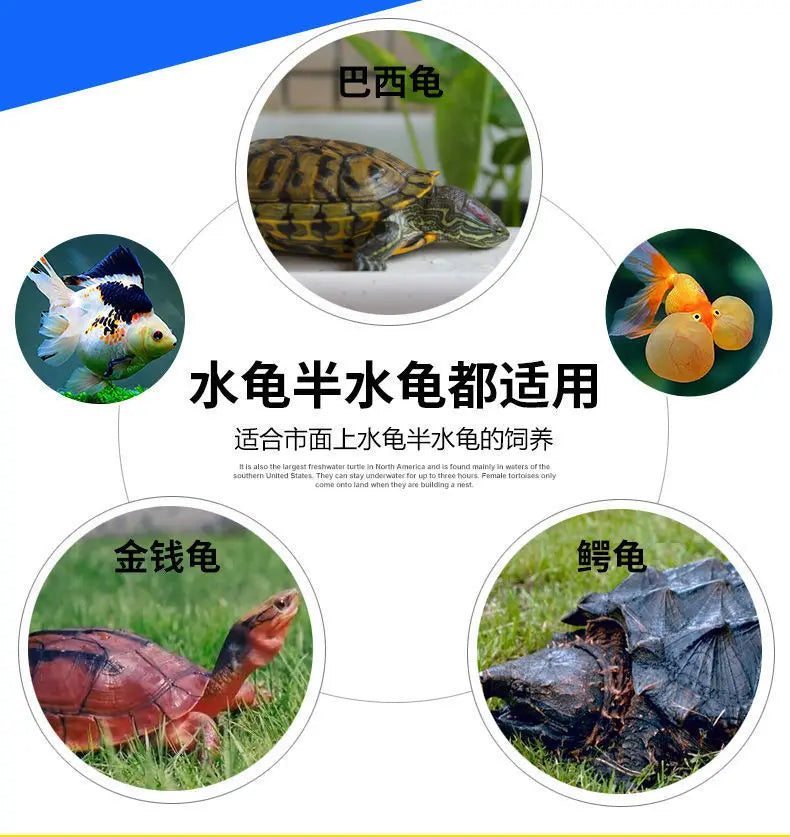 Aquatic and amphibious ecological tank, swamp fish tank, pot, turtle box, turtle tank, household feeding box