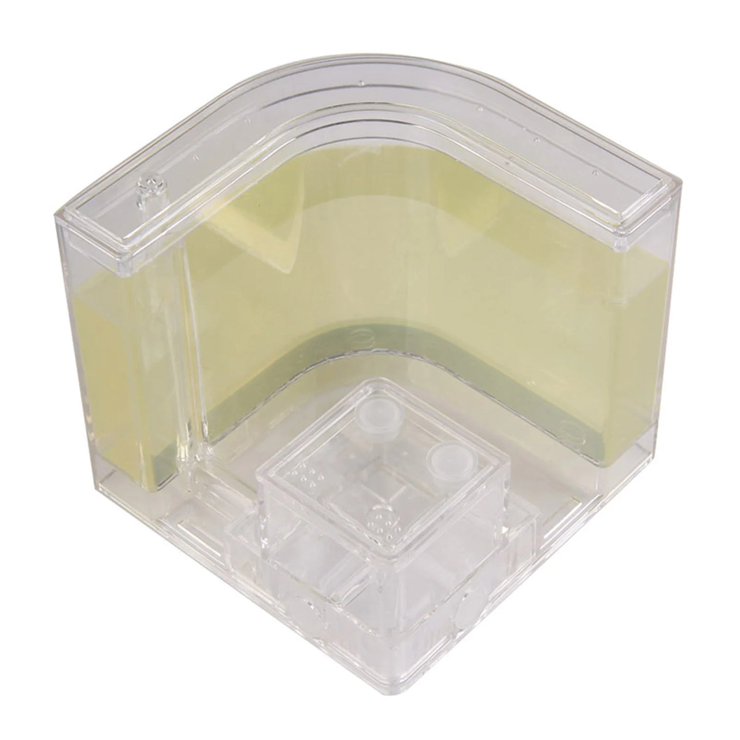 1PCS 3D Insect Acrylic For Ant Farm Observed Expansion Maze House Educational Decor Accessories Look into World Bug Box