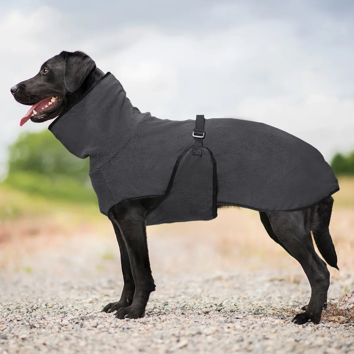 Clothes For Large Dogs Winter Warm Big Dog Vest Jacket Pet Dogs Coat Greyhound Doberman Clothes For Medium Large Dogs