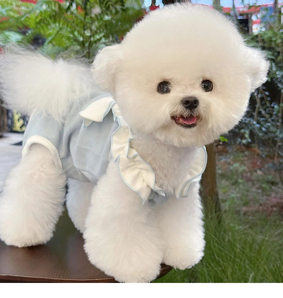 Teddy Four-Legged Neuter Suit Pet Autumn Vest Puppy Belly Protection Sleepwear Solid Color Dog Clothes