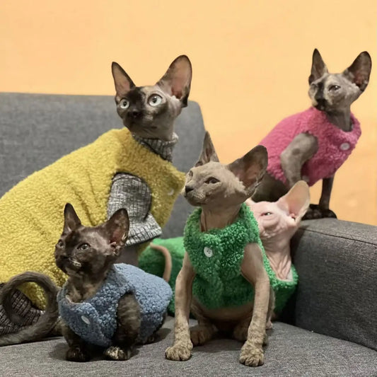 Cat clothes, warm lamb wool vest, autumn and winter Teddy Pomeranian pet winter clothes, cute clothes