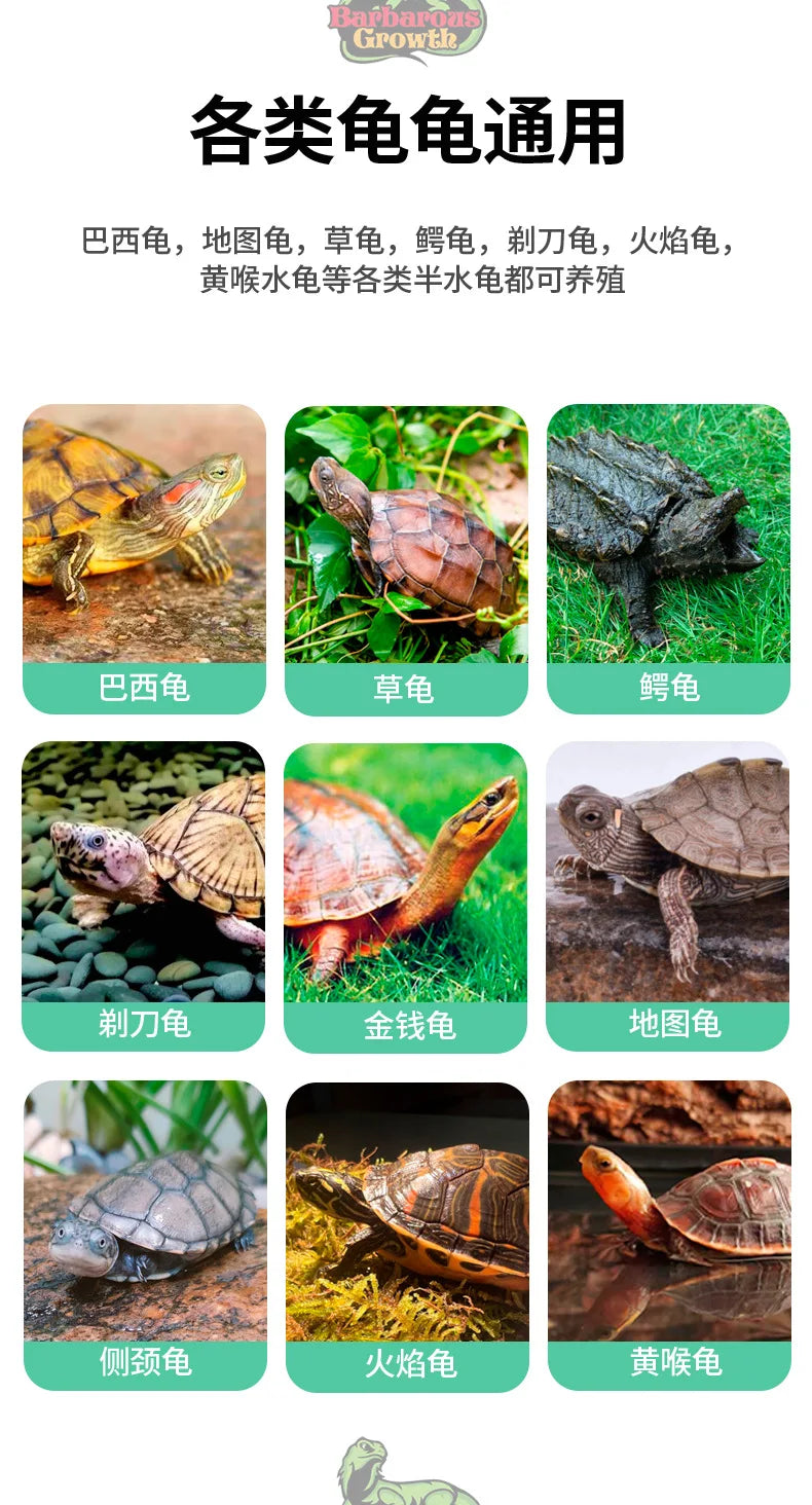 Integrated Turtle Tank Feeding Box Amphibious Tank Cage Plastic Transparent Turtle Tank House Amphibian and Reptile Habitat