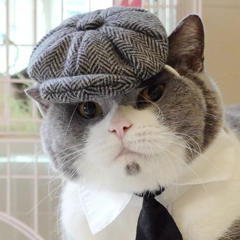 Funny Pet Cat Hat and tie Gentleman's Hat Beret Tie Bathing Blood Gangster Handsome Cosplay Photo Prop Pet Halloween Costume
