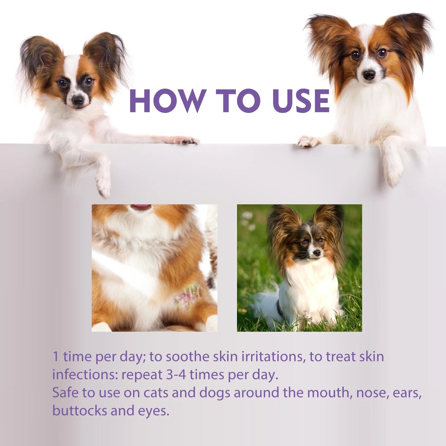 Pet Skin Care Spray Flea Lice Insect Killer Spray For Dog Cat Puppy Kitten Soothe Itching Remove Mites Eliminator 60ml