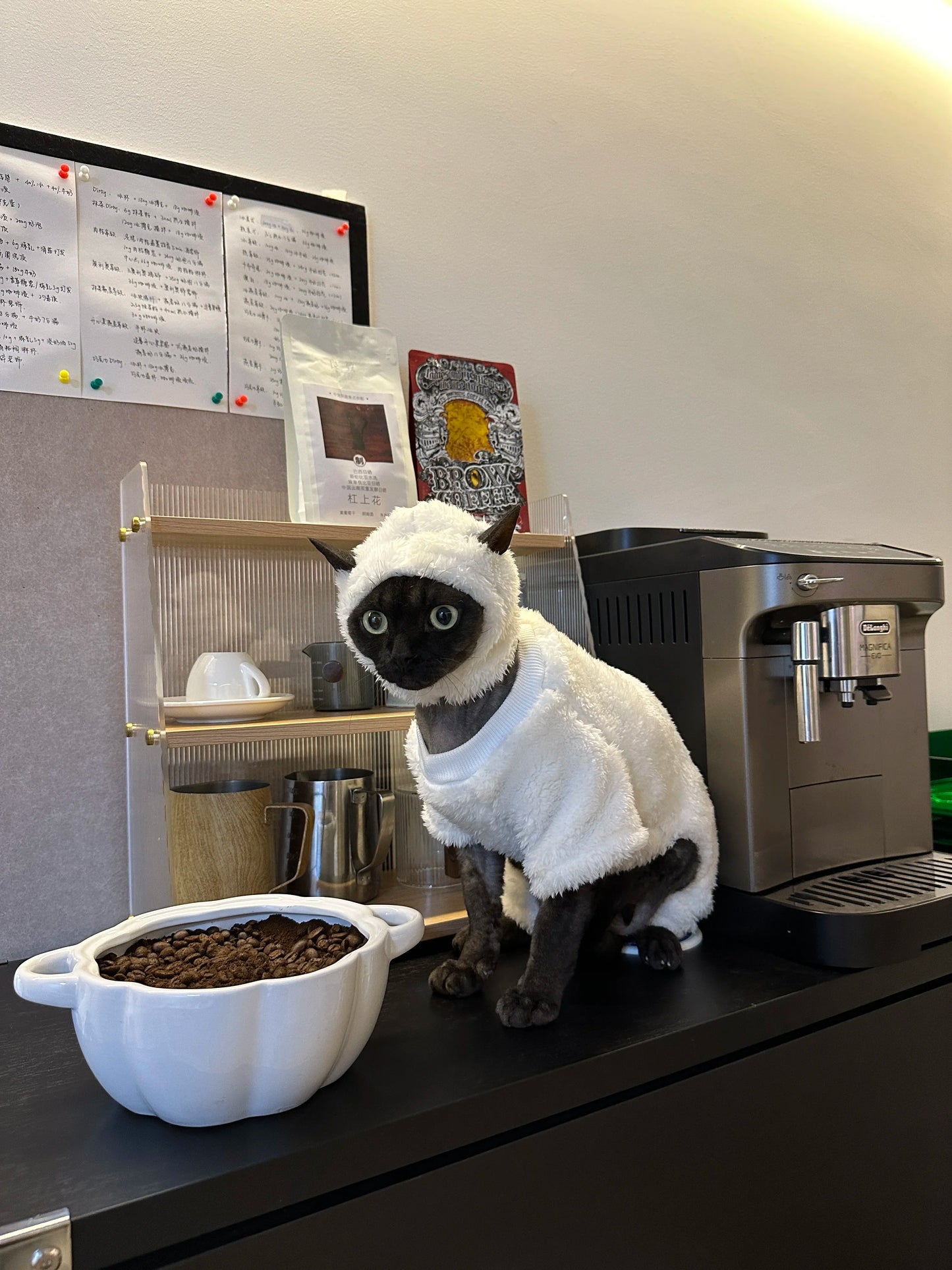 Hairless Cat Clothes Autumn and Winter Thickened polar fleece Warm Four-Legged Sphinx Devon Rex Cat lamb double-sided fleece cotton