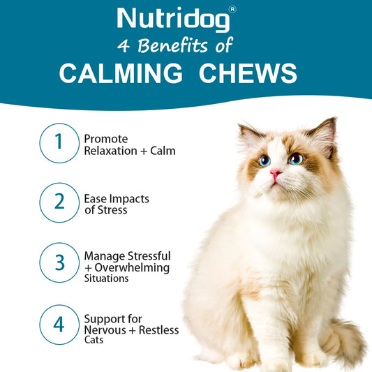 NUTRIDOG Cat Calming Chews Promotes Cats Relaxation Moods Calmer Relieve Stress Effects Maintain Emotional Balance 100 PCS/Bottle