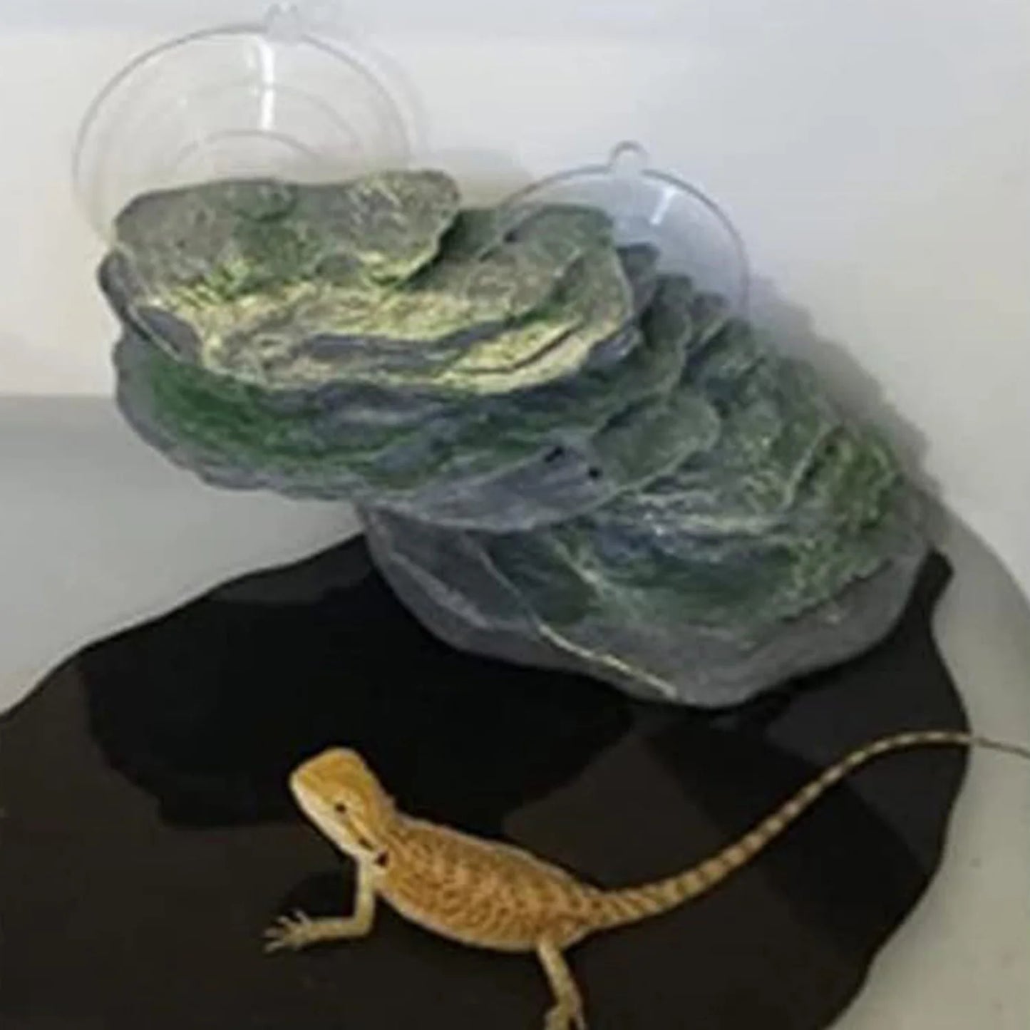 Tortoise Resting Ramp Step Reptile Climbing Turtle Platform Reptile Basking Dock Aquarium Ornaments