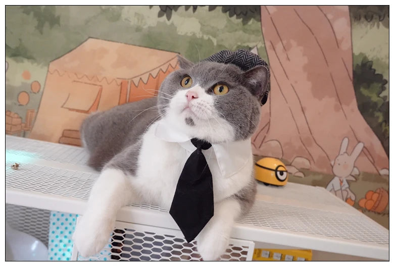 Funny Pet Cat Hat and tie Gentleman's Hat Beret Tie Bathing Blood Gangster Handsome Cosplay Photo Prop Pet Halloween Costume