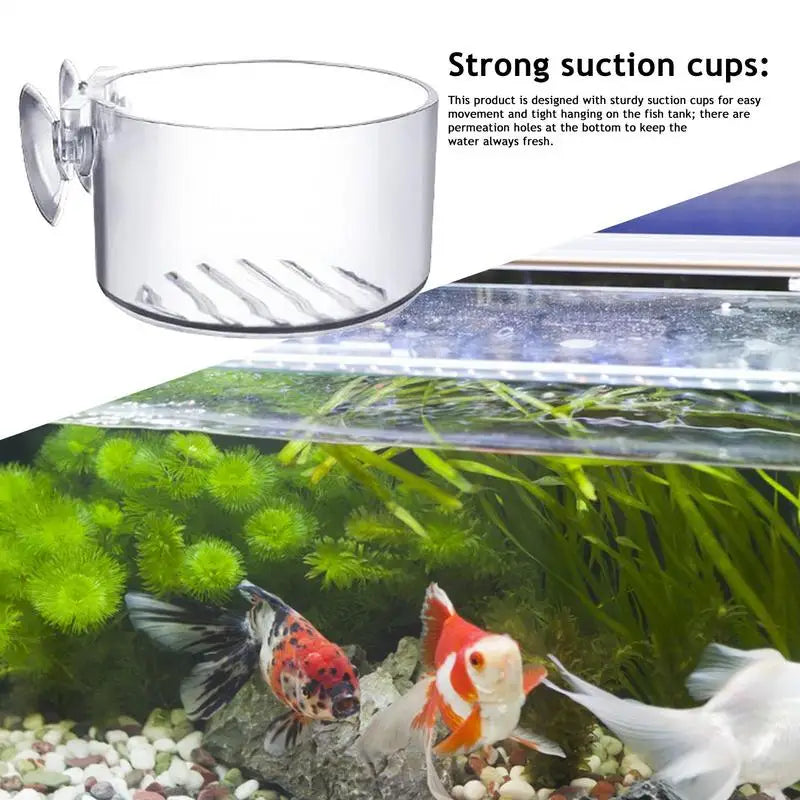 Acrylic Aquatic Plant Cup with Suction Holder Cylinder Aquarium Accessories