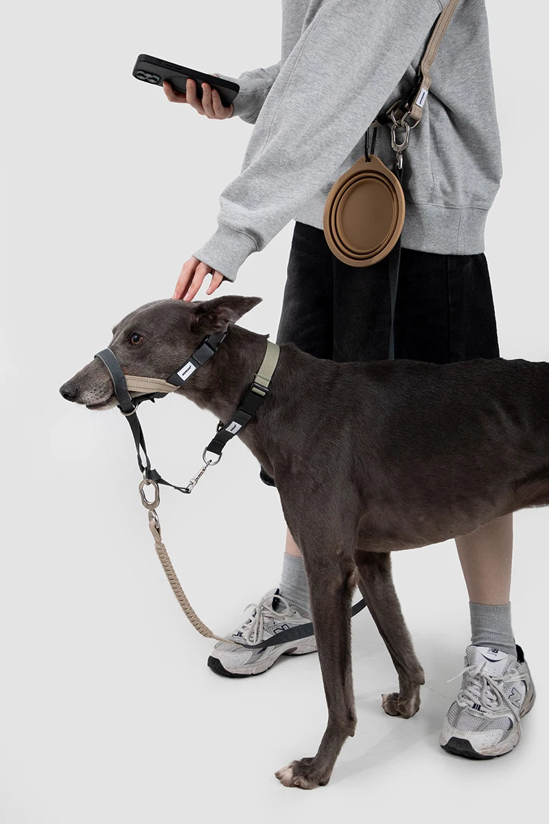 Dog Mouth Anti Barking Bark Collar Dog Adjustable Training Mesh Fabric Explosion-proof Flushing Control Traction Pet Supplies
