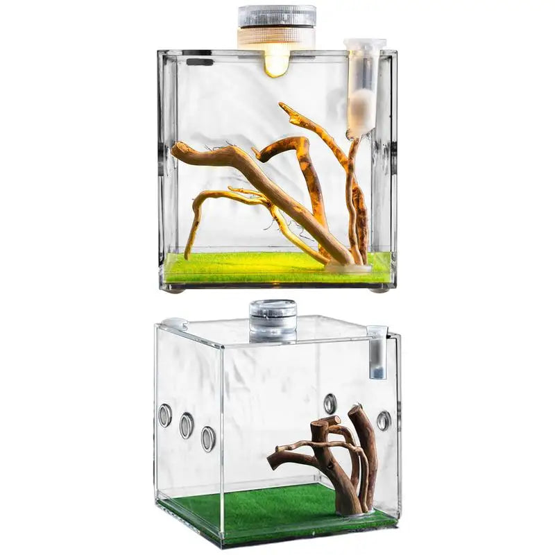 Spider Reptile Insect Feeding Box Reptile Breeding Box Terrarium Accessories Insect Box For Spider Cricket Snail Tarantula
