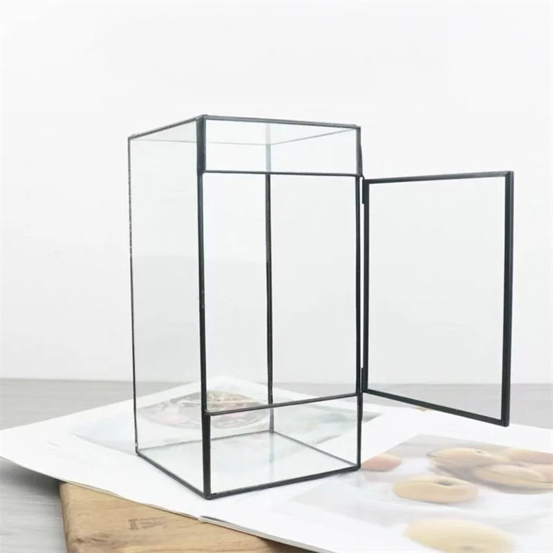 Mini Rainforest Fern Moss Ecological Square Shape Geometric Glass Terrarium Tabletop Plant Glass Vase Container Table Greenhouse