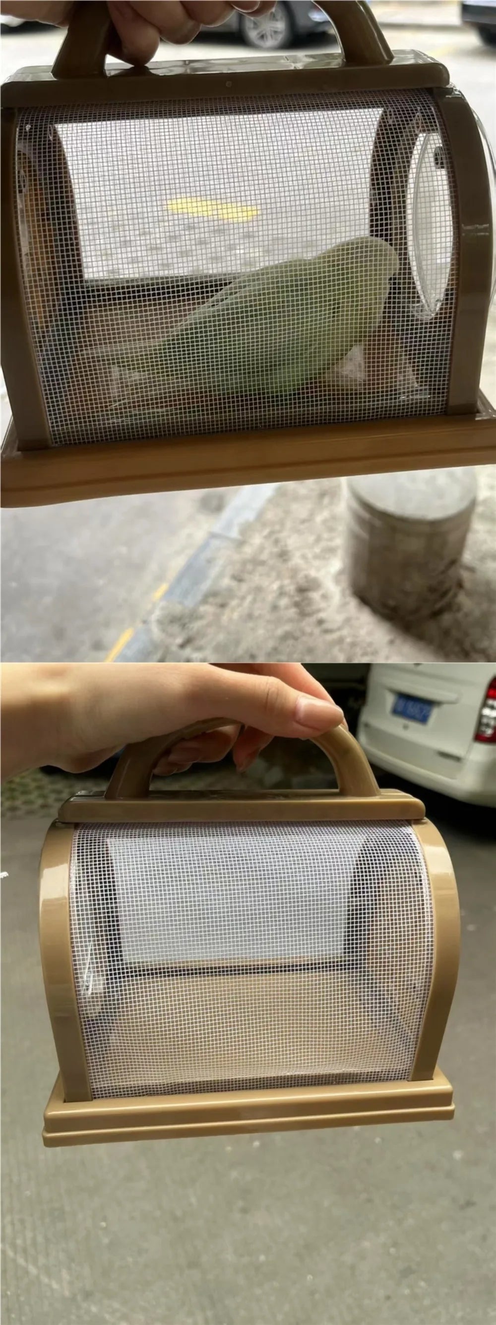 Summer Bird Cage Parrot Transfer Large Space Portable Parrot Carrying Cage Breathable Insect Observation Cages Bird Accessories