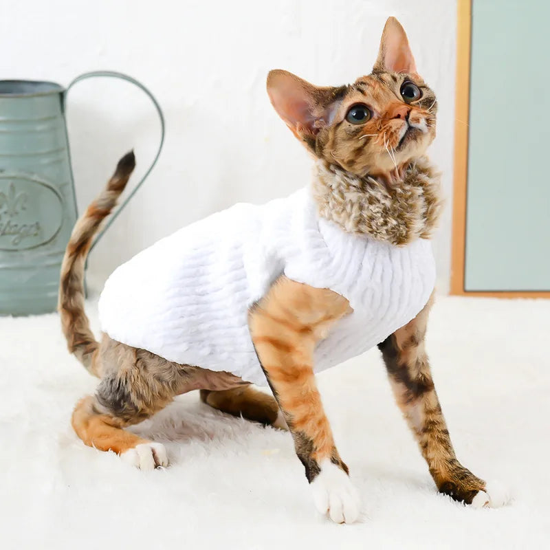 Devon Rex Thickening Plush Coat Cat Sweater Costume Sphinx Clothes Kitten Sphynx Pullover Clothing Products for Winter Outwear