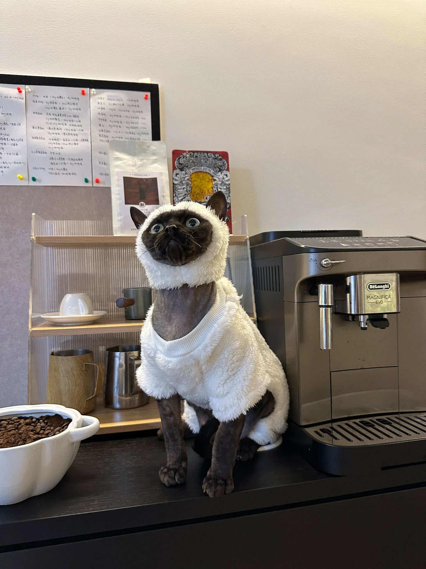 Hairless Cat Clothes Autumn and Winter Thickened polar fleece Warm Four-Legged Sphinx Devon Rex Cat lamb double-sided fleece cotton