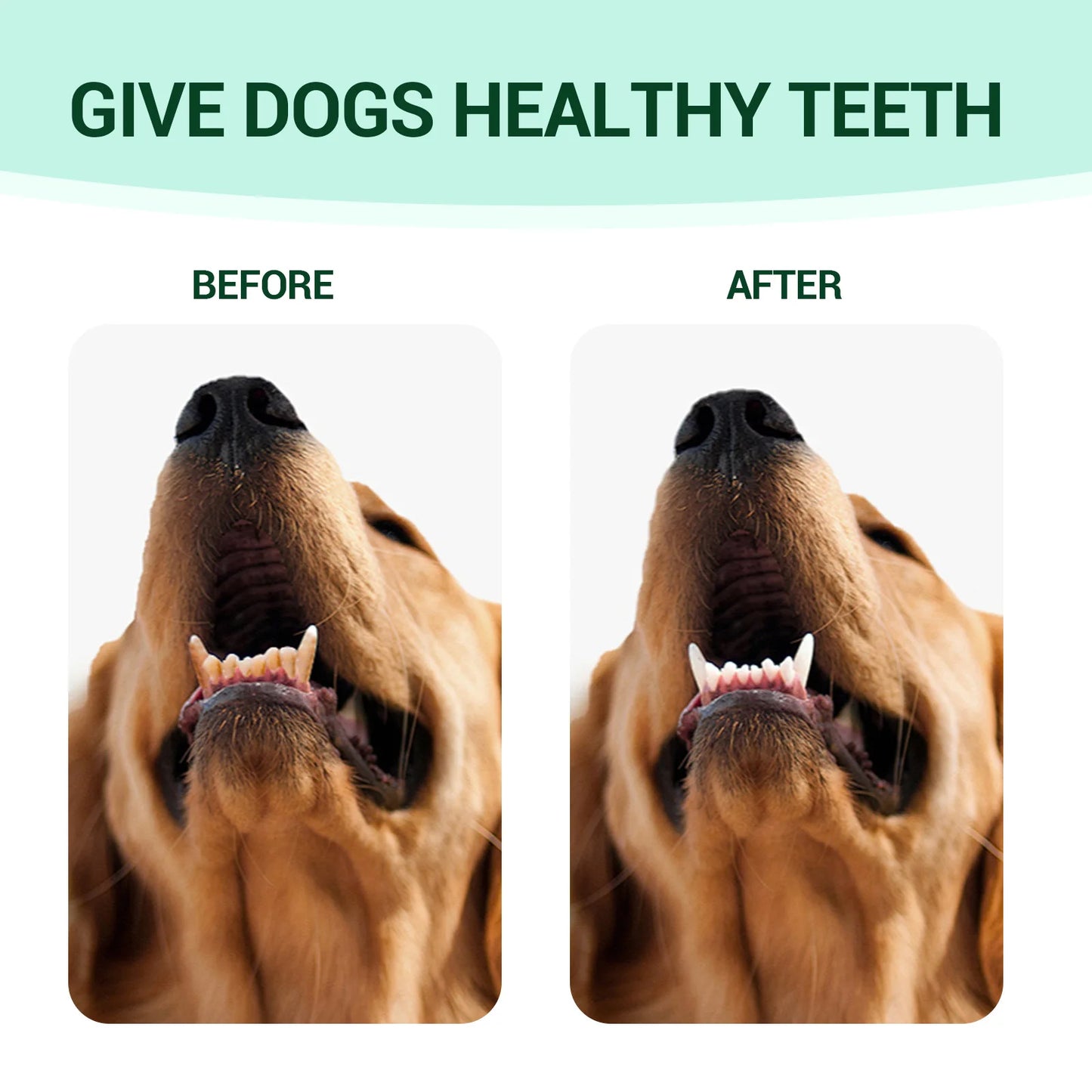 Pet Fresh Breath Cleanser Teeth Water Dog Cat Tooth Stains Mouth Cleaning Ear Canal Odor Cleaning Earwax