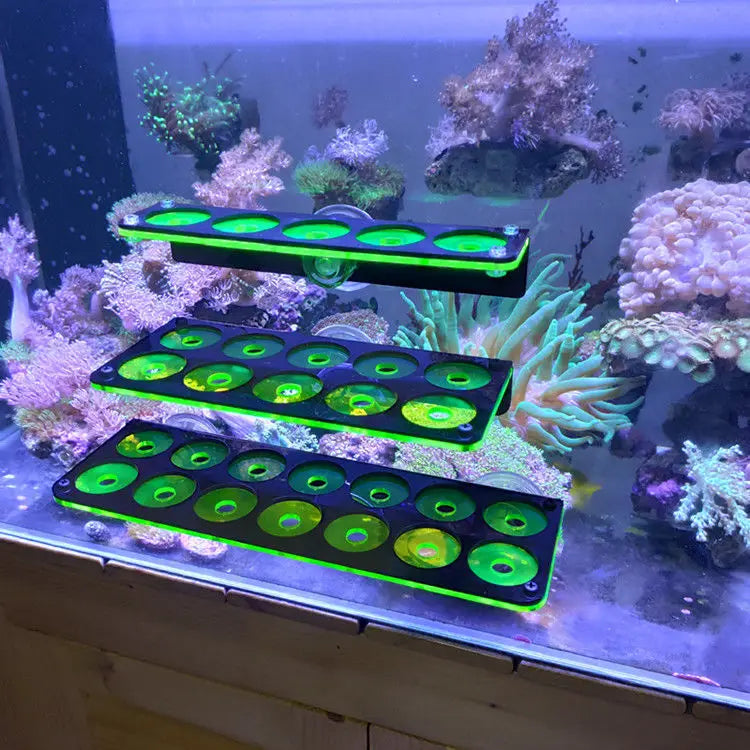 Fluorescent Coral Frag Plug Bracket Growing Holder Acrylic Rack Marine Reef Stand Aquarium Accessories Fish Tank Decoration