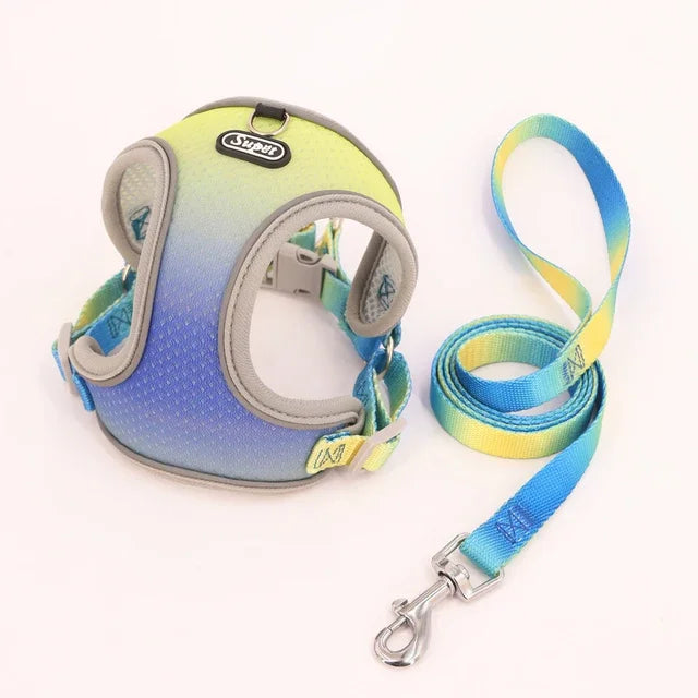 1pc Dog Harness  Small, Medium Ombre Harness and Leash Set. Air tag cat collar Leash Flea  tick control