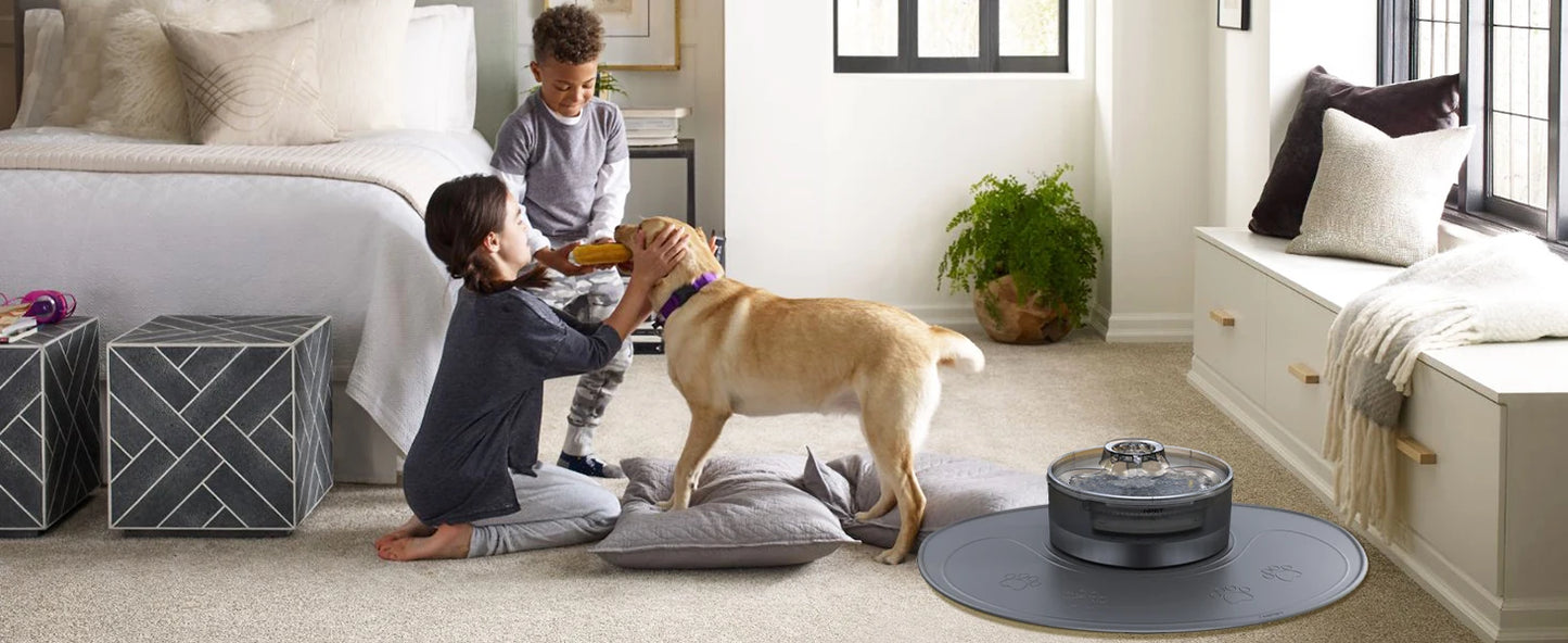 NPET Waterproof Silicone Dog Food Mat for DF10 Dog Fountain, Slip Resistant Dishwasher Safe Pet Feeding Mat,(28" x 2 1.26")