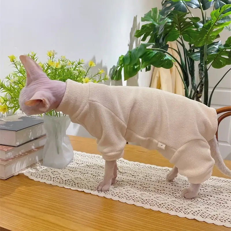 Sphynx cat wearing a soft, beige fleece coat, standing on a table beside a vase and books, perfect for autumn/winter.