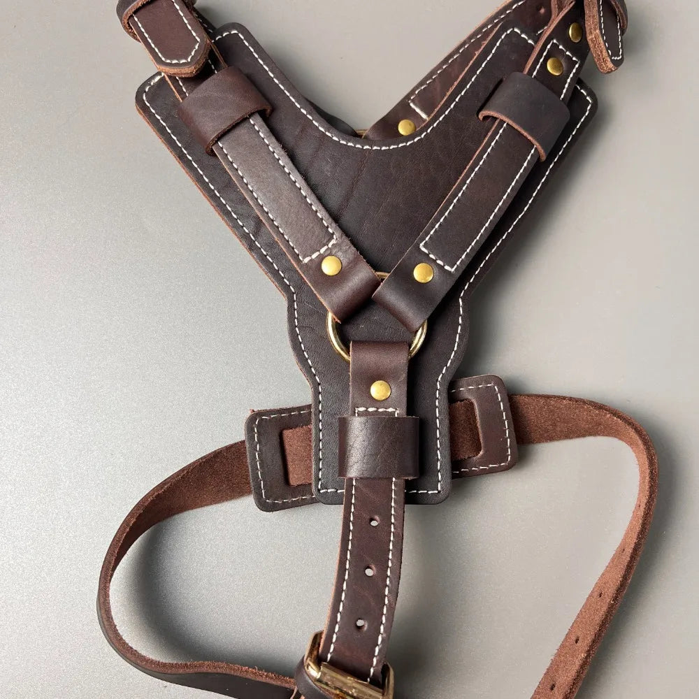 Genuine Leather Y-Shaped Dog Harness  Adjustable Neck  Chest Pull-Proof, Durable for Large Dogs Handcrafted Full Grain Leather