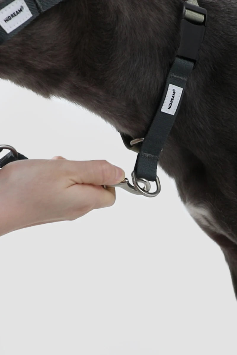 Dog Mouth Anti Barking Bark Collar Dog Adjustable Training Mesh Fabric Explosion-proof Flushing Control Traction Pet Supplies