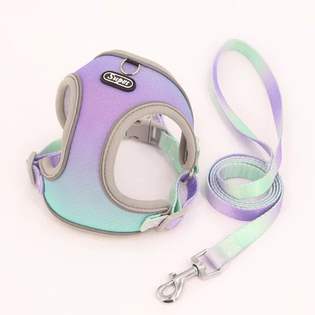 1pc Dog Harness  Small, Medium Ombre Harness and Leash Set. Air tag cat collar Leash Flea  tick control