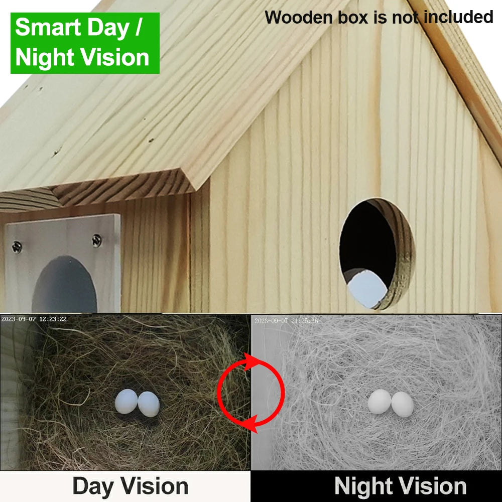 Tuya Smart Life WiFi HD Camera for Bird House Wireless APP Remote Live View Night Vision Plug-in Power Easy Install DIY Gift