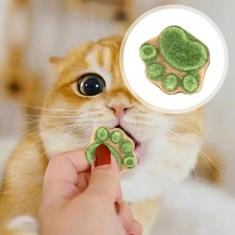 Paw Cat Treats Cat Snacks Cat Paw Biscuits Kitten Treats Healthy Cat Treats Dry Cat Treats Natural Cat Biscuits Cat Food Treats