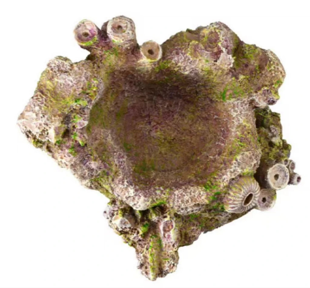 Vastocan Resin Landscape Stone for Seawater Fish Tank