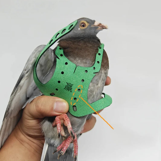 PIGEON Outdoor Training Harness String Rope Portable Adjustable Product 1PCS