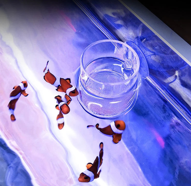 Clear Acrylic Aquarium Fish Feeder Anti-drift Shrimp Egg Fish Food Feeding Ring Betta Fish Tank Feeding Cup Aquarium Accessories