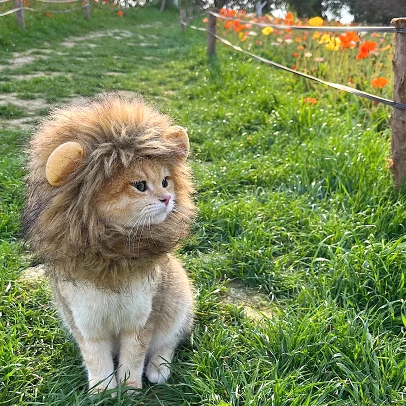 Cat Cosplay Dress Up Pet Hat Lion Mane for Cat Puppy Lion Wig Costume Party Decoration Halloween Christmas Cat Pet Supplies