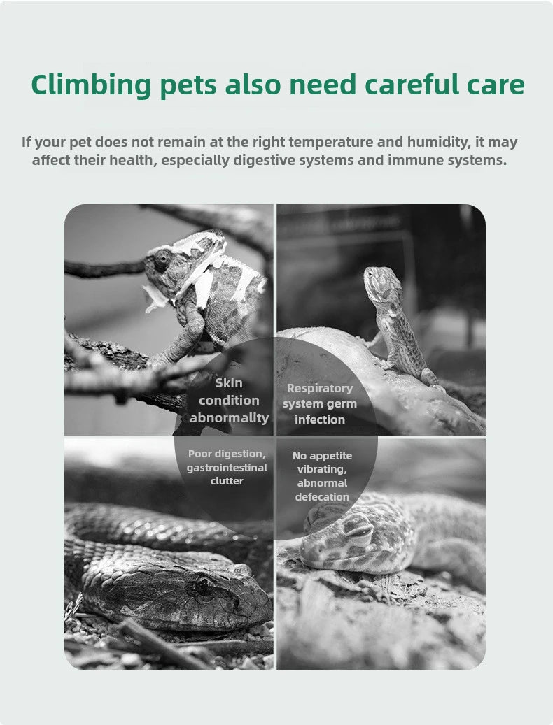 Climbing pet thermometer palace lizard horned frog tortoise reptile feeding box thermometer