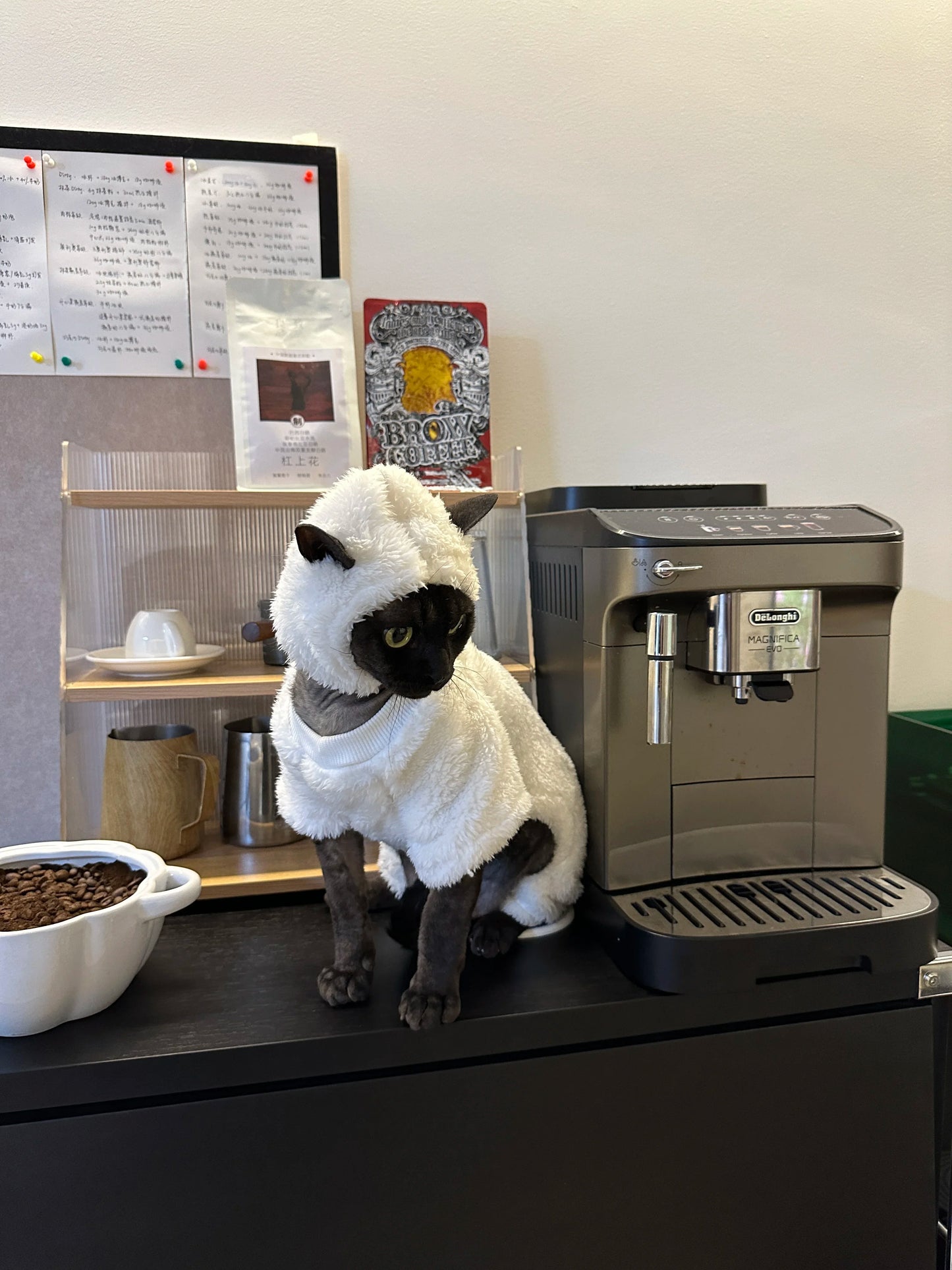 Hairless Cat Clothes Autumn and Winter Thickened polar fleece Warm Four-Legged Sphinx Devon Rex Cat lamb double-sided fleece cotton