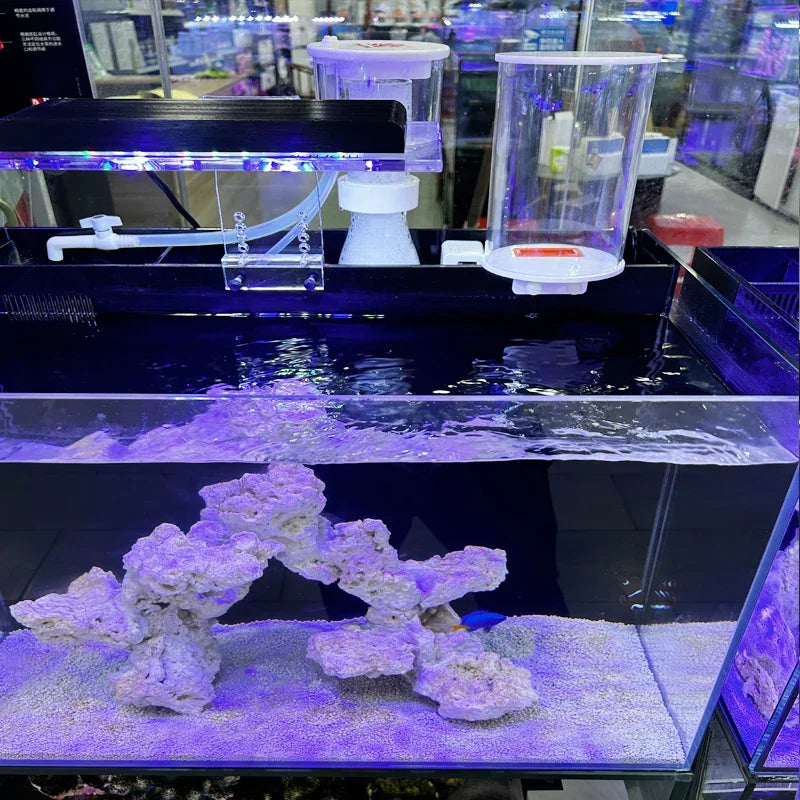 2L 4L fish tank automatic water replenisher back filter sea water tank grass tank water replenishment bucket automatic