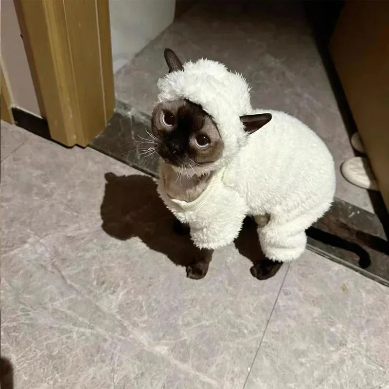Winter Sphynx Cat Clothes Thickened Warm Four-legged Pullover Cat Coat Lamb Double-sided Velvet Pet Pajamas for Devon Rex and Small Dogs