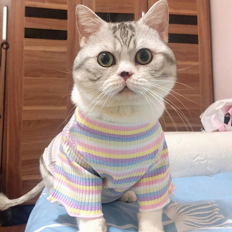 Spring Cotton Pet Cat Clothes for Cats Clothing Sweet Stripe Sphynx Cat Vest Shirt Hairless Cats