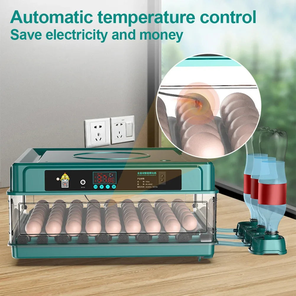 6-12 Eggs Incubator for Chicken Goose Bird Quail Automatic Incubation Equipment Hatchery Incubation Tool US Plug Dual Electric design