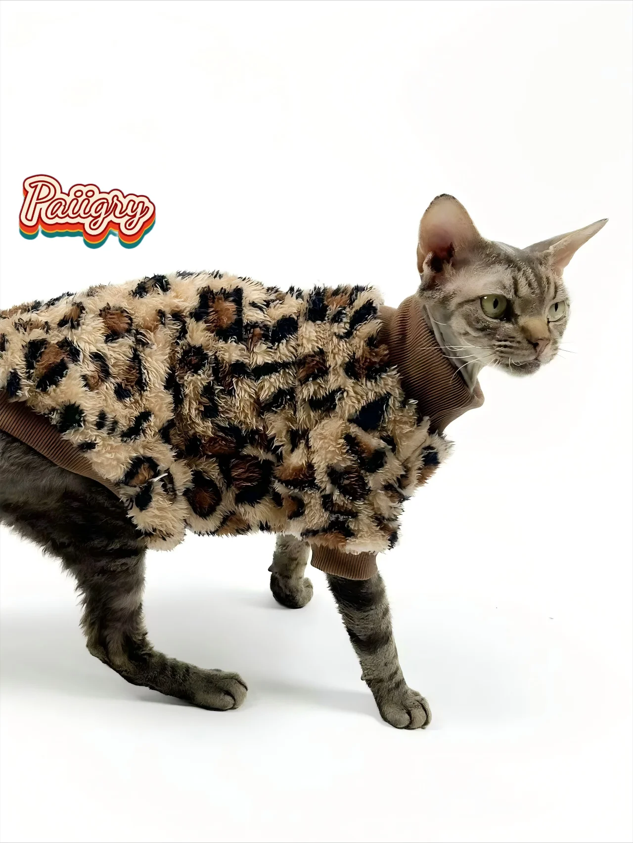 New pet leopard print pattern two-legged clothes cat dog autumn and winter Schnauzer puppy teddy small dog  panda clothes sphinx cat
