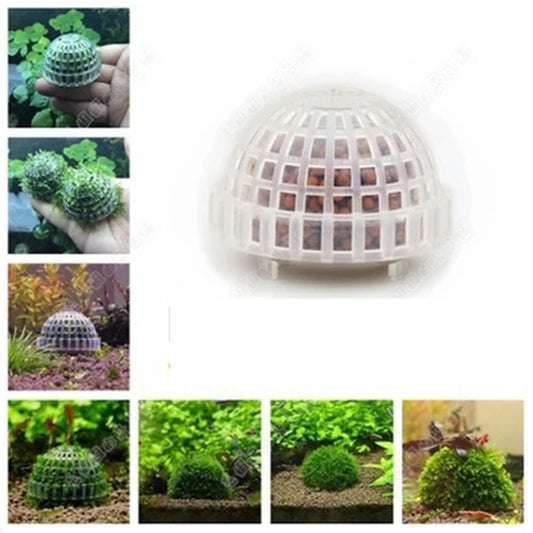 5cm Natural Marine Plant Moss Culture Dish Aquarium Fish Tank Decoration Home Decoration Non Plant