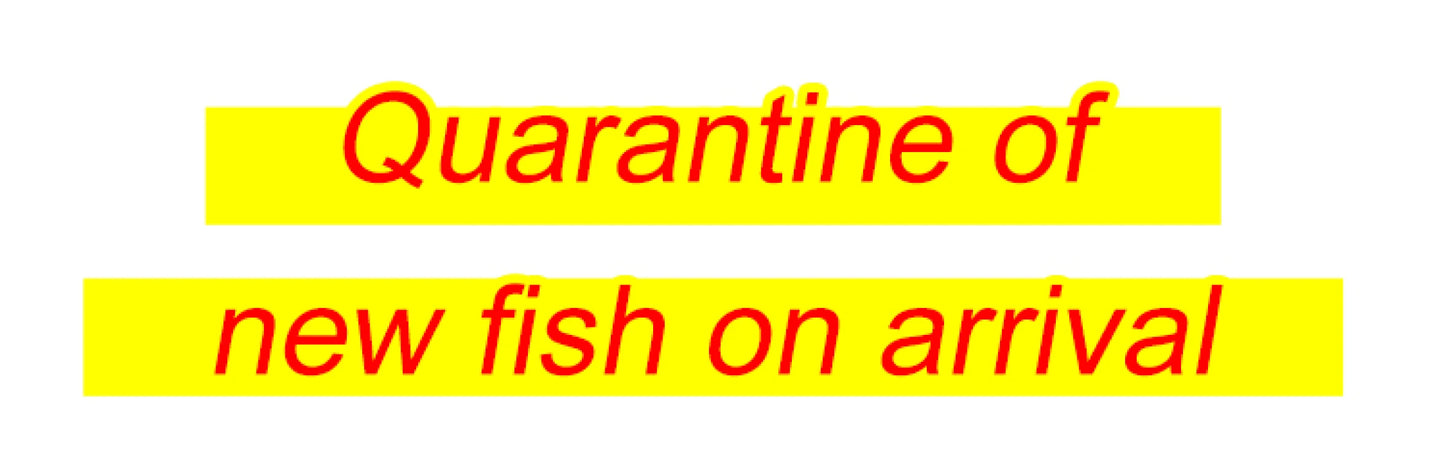 535ml Fish Tank Water Purifier Clear Nitrifying Bacteria Digestion Liquid Aquarium Fish Farming Supplies Fishbowl Water Treatment