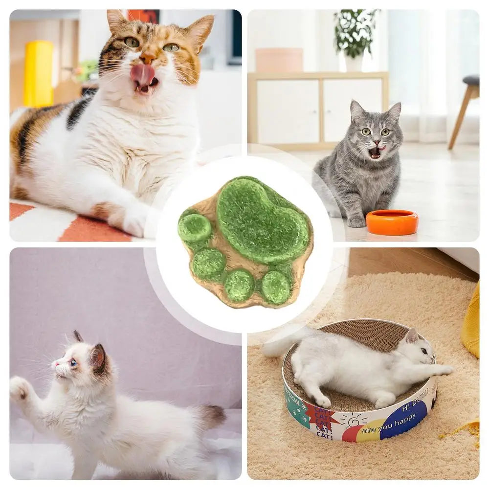 Paw Cat Treats Cat Snacks Cat Paw Biscuits Kitten Treats Healthy Cat Treats Dry Cat Treats Natural Cat Biscuits Cat Food Treats