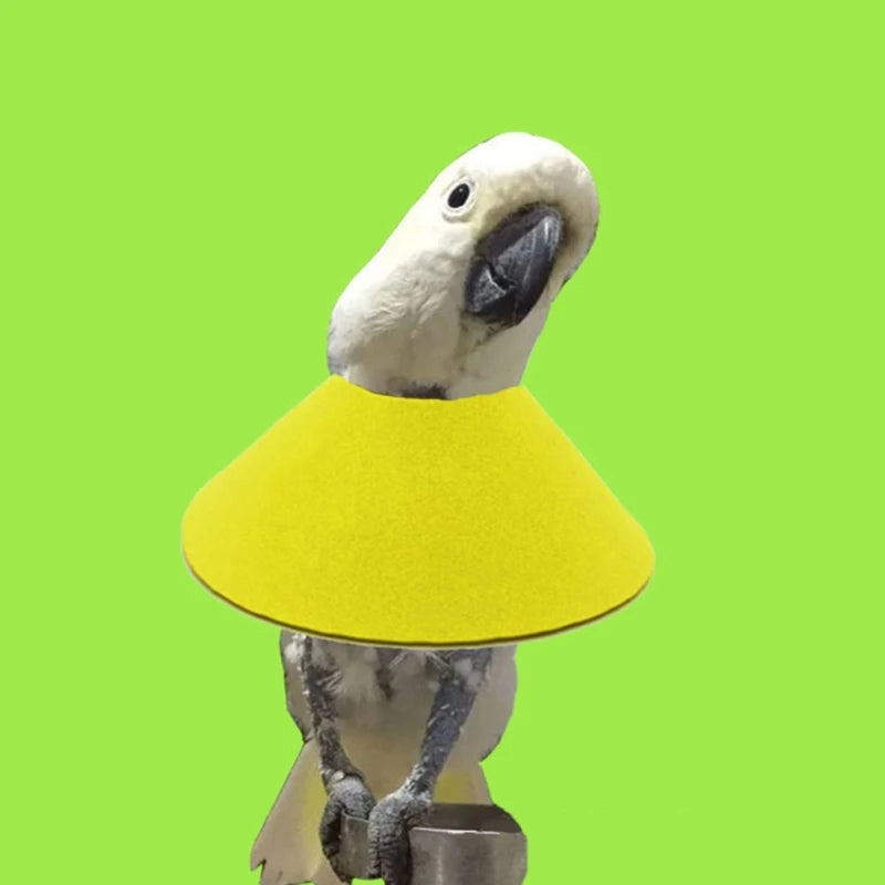 Pet Bird Collar for Plucking Parrot Anti-Bite Recovery Collar Protective Neck Circle for Budgies Prevent Feather Scratch Y5GB