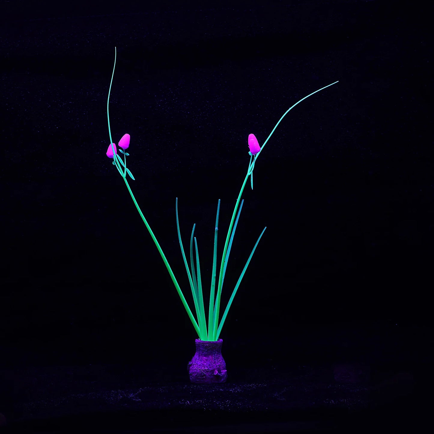 Glow in Dark Coral Orchid Flower – Fluorescent Silicone Aquarium Decor, Fish Tank Ornament for Freshwater & Saltwater
