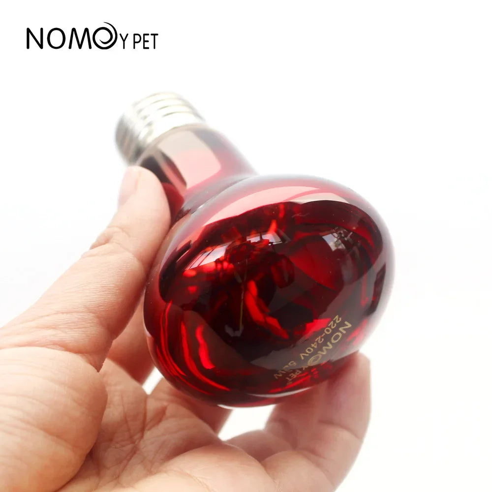 220V Reptile Heat Lamp Bulb Infrared Basking Spot Lamp Red Heat Lamp Bulbs Amphibian Gecko Lizard E27 Infrared Reptile Light